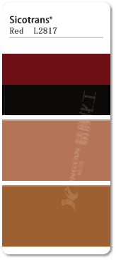 巴斯夫透明氧化鐵紅顏料L2817無機顏料色卡